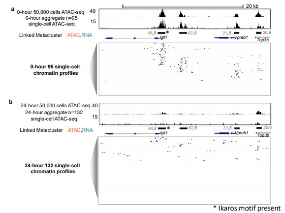 Screen Shot 2018-10-19 at 10.46.30 AM